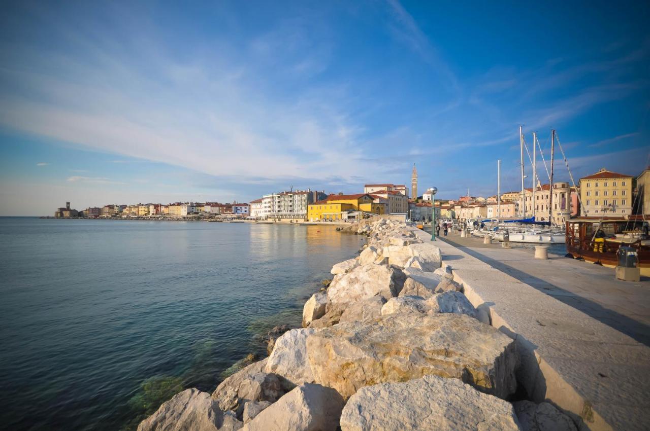 Apartment Studio11 Mist -tomsiceva 3 *